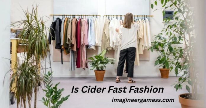 Is Cider Fast Fashion